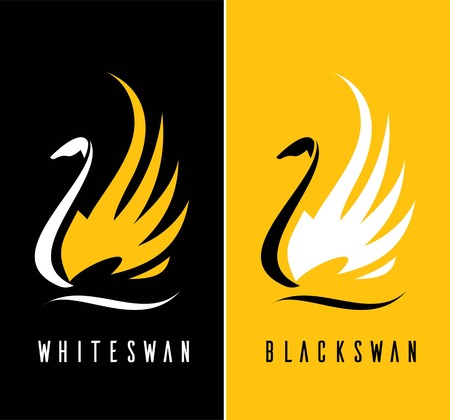 Beautiful swan. Elegance Swan. Swan on the water spread out its wing. Swan. Swan lake .のイラスト素材