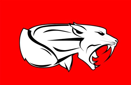 Roaring Rampage Tiger with the Strong Muscular Neck and Extreme Fangs.のイラスト素材