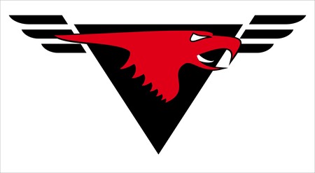 Red Head Eagle with upside down triangle and spread wings at the background, upside triangle could means victory, diamond, dignity, glory,  etcのイラスト素材