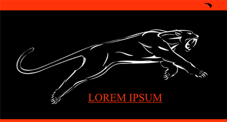 Leaping Panther. fang face big cat, roaring and leaping. white line on black background.のイラスト素材