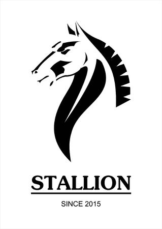 Stallion horse vectorのイラスト素材