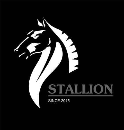 White stallion on the black background.のイラスト素材