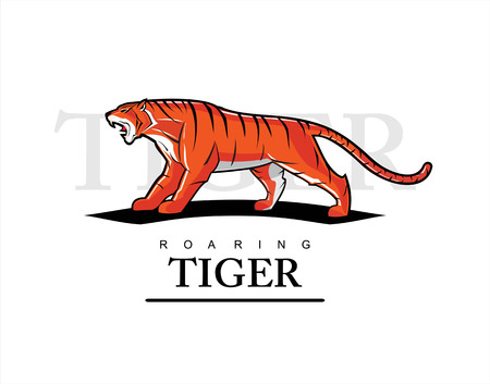 Roaring tiger with text.のイラスト素材