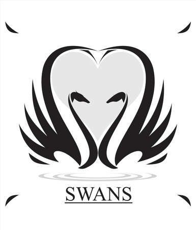 swan, couple swan and heartのイラスト素材