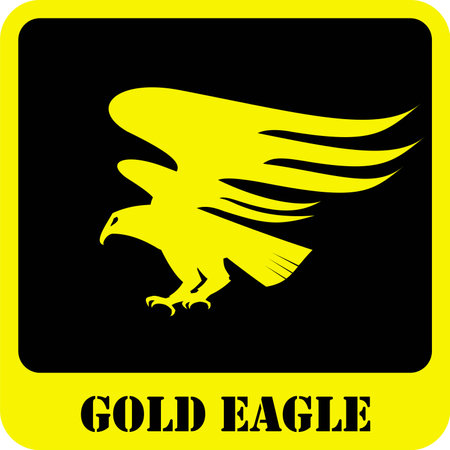 attacking flying gold eagle with the sharp clawの写真素材