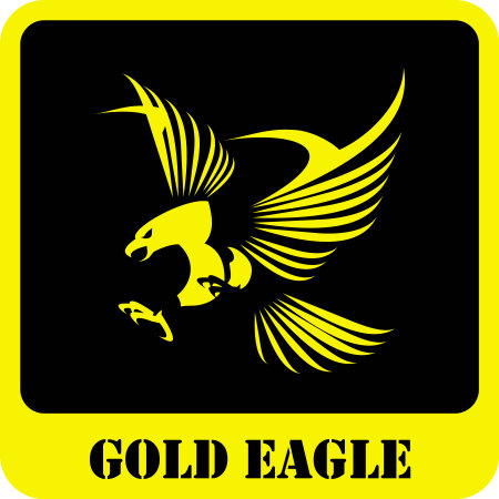 Flying falcon spreads its featherの写真素材