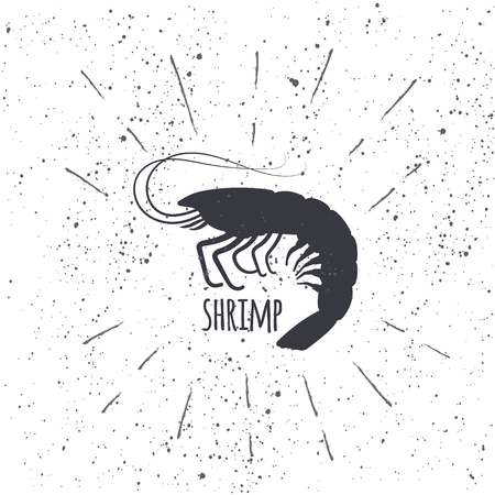 Hand drawn shrimp icon logo in black and white color with textured background. Design element for emblem, menu, logo, label, sign, brand mark - vector illustrationのイラスト素材