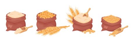 Sacks with wheat, barley grains and flour, seed of wheat in a burlap bag with wooden scoop isolated on white background. Set of natural farming food elements in cartoon style, vectorのイラスト素材