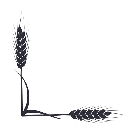 Wheat, oat, rye or barley silhouette. Cereal plant border, agricultural frame with black spikelets. Banner for design beer, bread, flour packaging.のイラスト素材