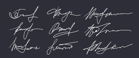Set of different fake autographs and signatures, mimicking authenticity for certificates, letters or documents, featuring handcrafted doodles and scribbles, vector illustrationのイラスト素材