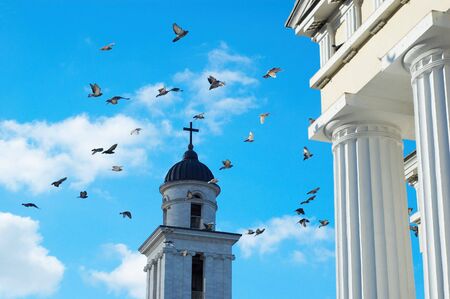 many flying pigeons on city sky backgroundの写真素材