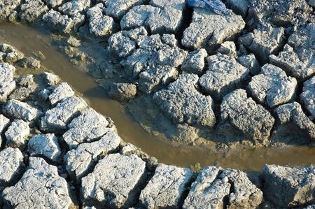 muddy water spring flows on dried cracked dirtの写真素材