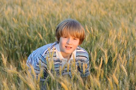 boy at the wheat field illuminated by red sunset sunの写真素材