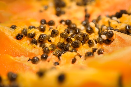 papaya closeupの写真素材