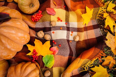 Romantic autumn still life with blanket, pumpkins, nuts and leaves, top viewの写真素材