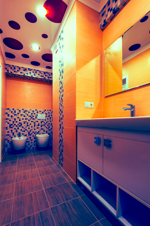 Bathroom interior, toilet and bidetの写真素材