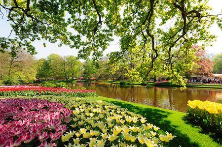 Flower beds of Keukenhof Gardens in Lisse, Netherlandsのeditorial素材