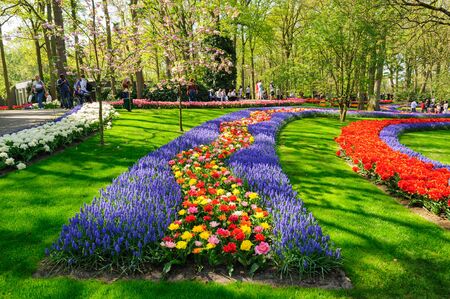 Flower beds of Keukenhof Gardens in Lisse, Netherlandsのeditorial素材