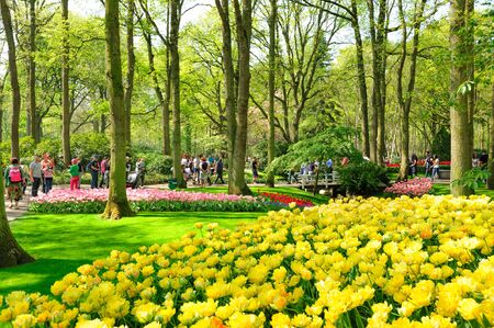 Flower beds of Keukenhof Gardens in Lisse, Netherlandsのeditorial素材