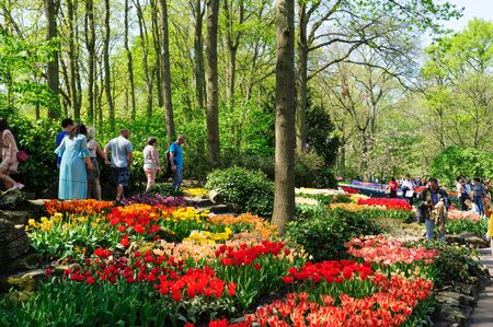 Flower beds of Keukenhof Gardens in Lisse, Netherlandsのeditorial素材