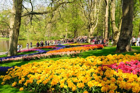 Flower beds of Keukenhof Gardens in Lisse, Netherlandsのeditorial素材