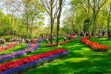Flower beds of Keukenhof Gardens in Lisse, Netherlandsのeditorial素材