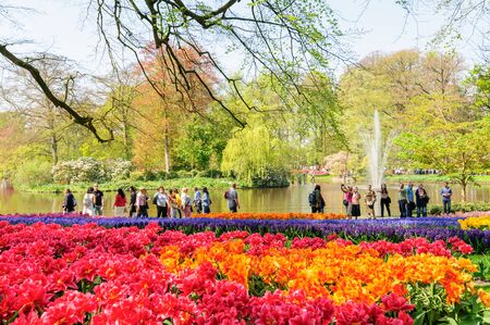 Flower beds of Keukenhof Gardens in Lisse, Netherlandsのeditorial素材