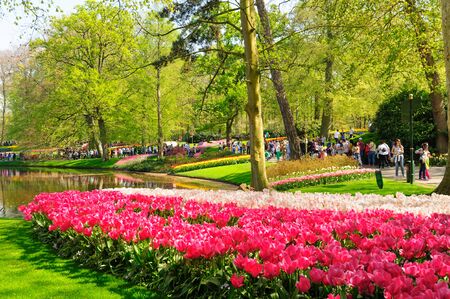 Flower beds of Keukenhof Gardens in Lisse, Netherlandsのeditorial素材