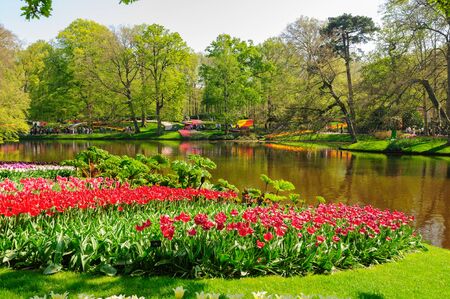 Flower beds of Keukenhof Gardens in Lisse, Netherlandsのeditorial素材