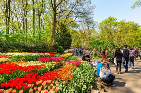Flower beds of Keukenhof Gardens in Lisse, Netherlandsのeditorial素材