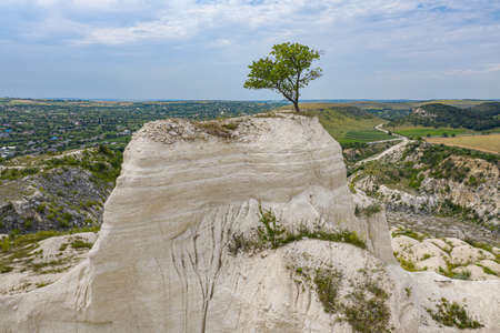 Lonely tree at limestone quarry in Moldova