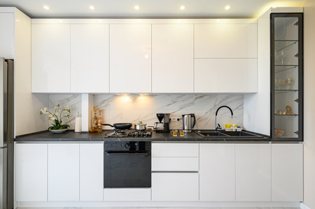 White kitchen in classic style