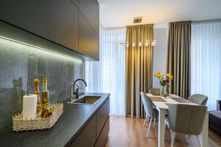 Modern large luxury dark gray stidio kitchen with dining room