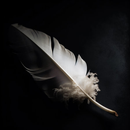 A white feather on a black background. Generative AI image.の素材