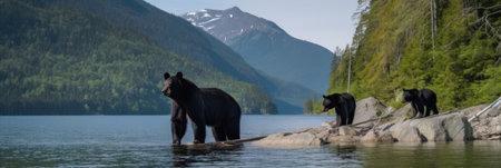 Three black bears are standing on a rock in the water. Generative AI image.の素材
