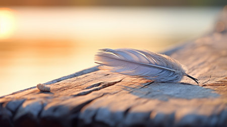 A feather rests on a wooden plank near the water, AIの素材