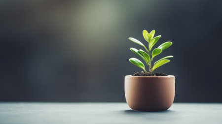 Small plant in a pot on a table, AIの素材