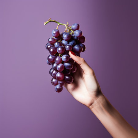 Womans hand holding bunch of grapes on purple background, AIの素材