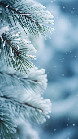 Winter background with snow and pine branches, AIの素材