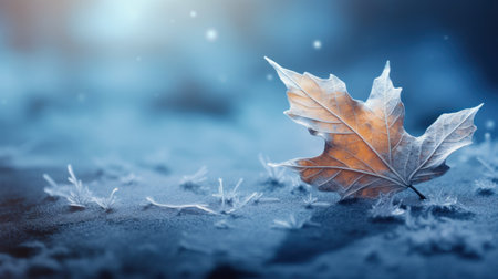 A leaf is sitting on top of a frost covered ground, AIの素材