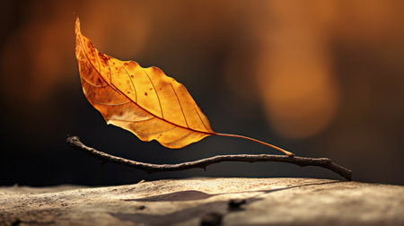 A leaf on a branch with the sun behind it, AIの素材