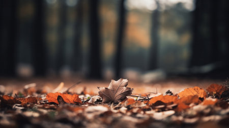 A leaf is laying on the ground in front of a forest, AIの素材