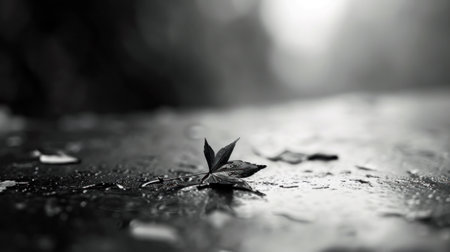 A leaf is sitting on the ground in a puddle, AIの素材