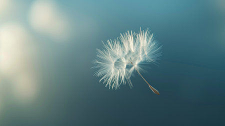 A dandelion seed in the air with a cloudy sky background, AIの素材