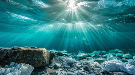 A view of the sun shining through a coral reef, AIの素材