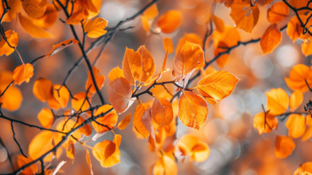 A close up of a tree branch with orange leaves, AIの素材