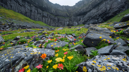 A field of flowers and rocks in a valley with mountains, AIの素材