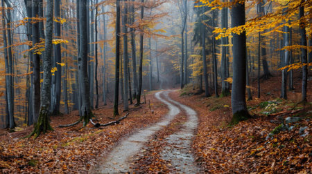 A dirt road in the middle of a forest with trees, AIの素材