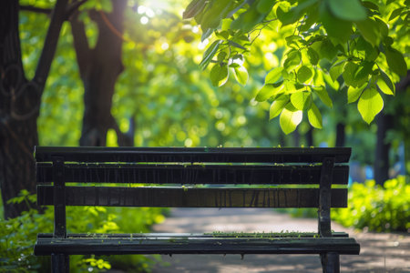 A bench in a park with trees and green leaves, AIの素材