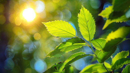A close up of a green leaf with the sun shining through it, AI